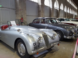  <a style='color: #fff;' href='/uploaded/photo/2eme-salon-des-vehicules-anciens-et-de-prestiges-5d9c4f8016c23.jpg'>(Télécharger)</a>