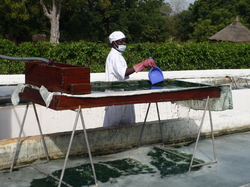 Récolte de Spiruline <a style='color: #fff;' href='/uploaded/photo/burkina-faso-536a22524bc36.jpg'>(Télécharger)</a>