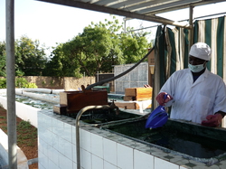  <a style='color: #fff;' href='/uploaded/photo/burkina-faso-536a227c21f14.jpg'>(Télécharger)</a>