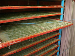 Procédé de séchage de la Spiruline <a style='color: #fff;' href='/uploaded/photo/burkina-faso-spiruline-54aea272dcec1.jpg'>(Télécharger)</a>