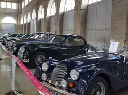  <a style='color: #fff;' href='/uploaded/photo/exposition-automobile-5bc9cac8c3109.jpg'>(Télécharger)</a>