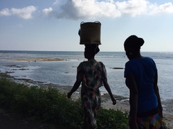  <a style='color: #fff;' href='/uploaded/photo/madagascar-56aa296ce7d82.jpg'>(Télécharger)</a>