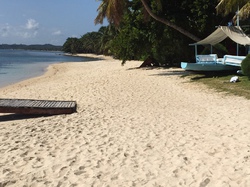  <a style='color: #fff;' href='/uploaded/photo/madagascar-56aa29719f787.jpg'>(Télécharger)</a>