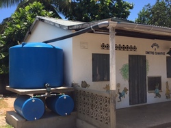  <a style='color: #fff;' href='/uploaded/photo/madagascar-5894615f771f7.jpg'>(Télécharger)</a>