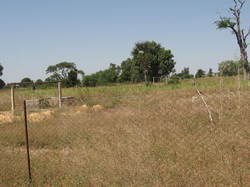 Septembre 2014

Le jardin maraicher a été clôturé ! <a style='color: #fff;' href='/uploaded/photo/senegal-kamiack-vie-au-village-546604389f18a.jpg'>(Télécharger)</a>