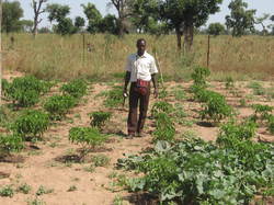 Septembre 2014

La pépinière est prête & opérationnelle <a style='color: #fff;' href='/uploaded/photo/senegal-kamiack-vie-au-village-5466044d22e3b.jpg'>(Télécharger)</a>