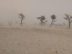  <a style='color: #fff;' href='/uploaded/photo/senegal-kamiack-vie-au-village-558aa216a9b46.jpg'>(Télécharger)</a>