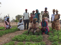 Le Comité de Gestion <a style='color: #fff;' href='/uploaded/photo/senegal-kamiack-vie-au-village-55b23bad9a00a.jpg'>(Télécharger)</a>