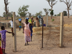 La clôture du jardin <a style='color: #fff;' href='/uploaded/photo/senegal-kamiack-vie-au-village-55b23bc1b0ba2.jpg'>(Télécharger)</a>