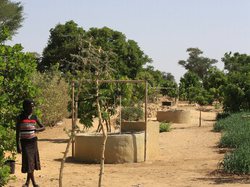  <a style='color: #fff;' href='/uploaded/photo/senegal-la-vie-a-kamiack-536127d63113d.jpg'>(Télécharger)</a>