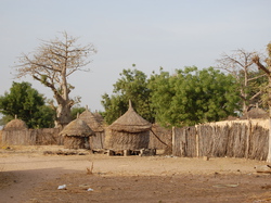  <a style='color: #fff;' href='/uploaded/photo/senegal-village-de-kamiack-535e71008bd50.jpg'>(Télécharger)</a>