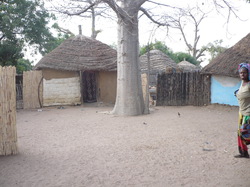 Le centre du village de Kamiack <a style='color: #fff;' href='/uploaded/photo/senegal-village-de-kamiack-535e711aa50e5.jpg'>(Télécharger)</a>