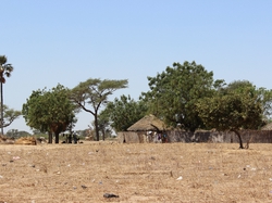  <a style='color: #fff;' href='/uploaded/photo/senegal-village-de-kamiack-535e73134d0f4.jpg'>(Télécharger)</a>