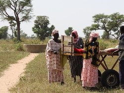 Les Femmes et le travail du Mil <a style='color: #fff;' href='/uploaded/photo/senegal-village-de-kamiack-535e73a3e9664.jpg'>(Télécharger)</a>
