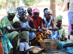Préparation des repas <a style='color: #fff;' href='/uploaded/photo/senegal-village-de-kamiack-535e762871597.jpg'>(Télécharger)</a>