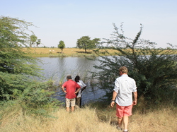 Une eau malheureusement très salée ....
Un danger à long terme pour la santé .... <a style='color: #fff;' href='/uploaded/photo/senegal-village-de-kamiack-535e78580044e.jpg'>(Télécharger)</a>