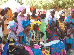 Comité de Gestion des Femmes <a style='color: #fff;' href='/uploaded/photo/senegal-village-de-kamiack-535e7d15d6fa4.jpg'>(Télécharger)</a>